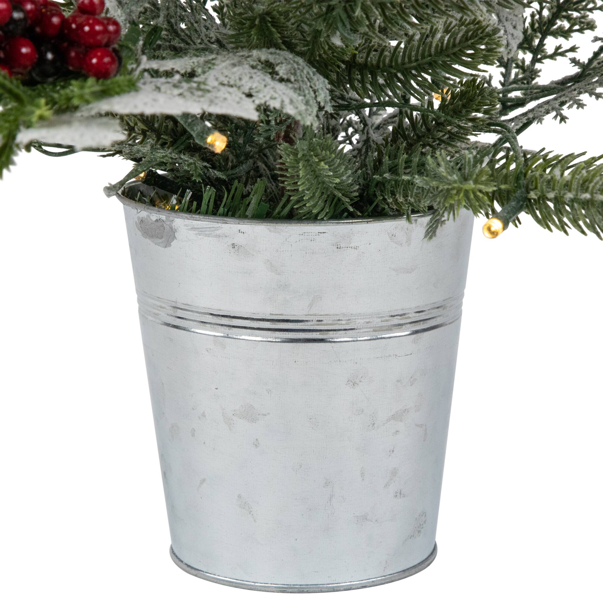 2ft. Pre-Lit Potted Frosted Mixed Pine with Cardinals Christmas Tree, Warm White LED Lights